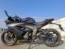 2025 TRIUMPH DAYTONA 