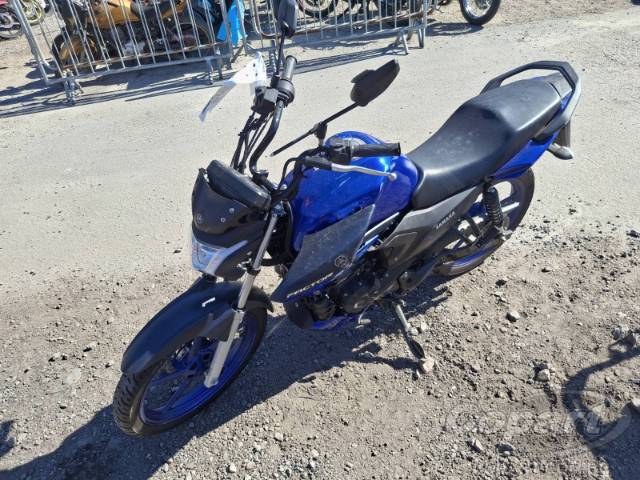 2025 YAMAHA FACTOR 