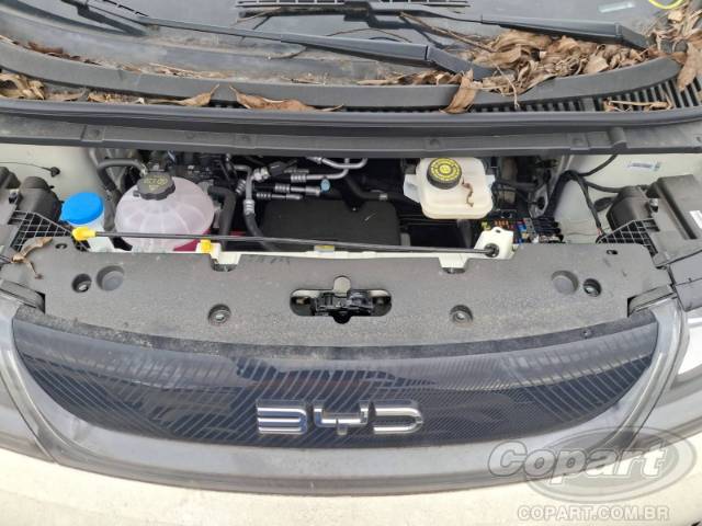 2026 BYD DOLPHIN 