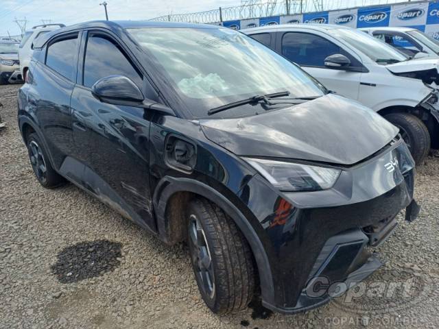 2025 BYD DOLPHIN MINI 