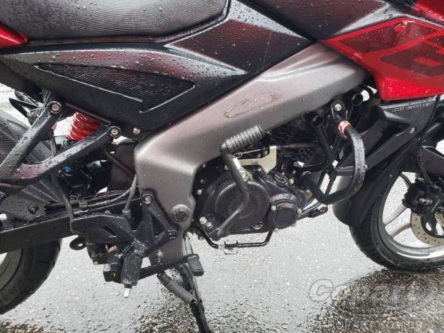 2025 BAJAJ DOMINAR 