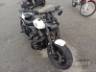 2019 HARLEY-DAVIDSON SOFTAIL 