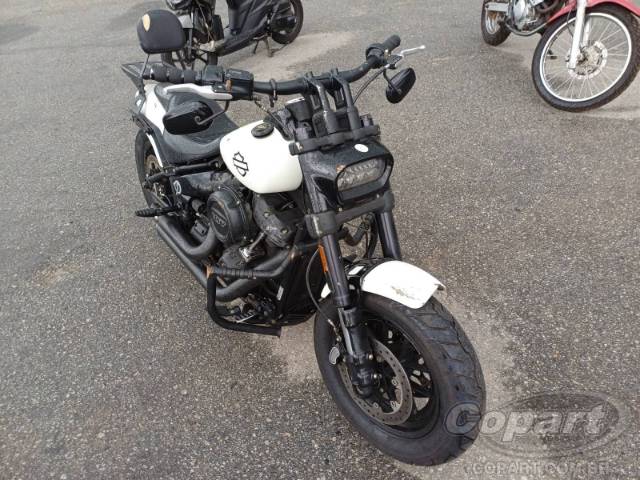 2019 HARLEY-DAVIDSON SOFTAIL 