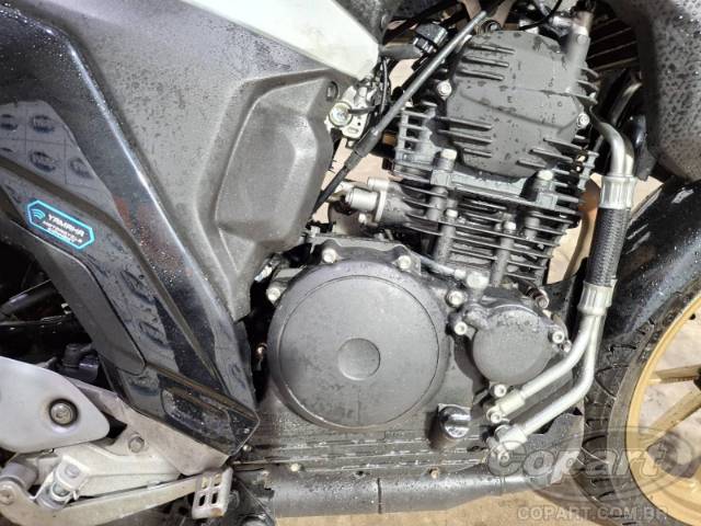 2025 YAMAHA FZ25 FAZER 