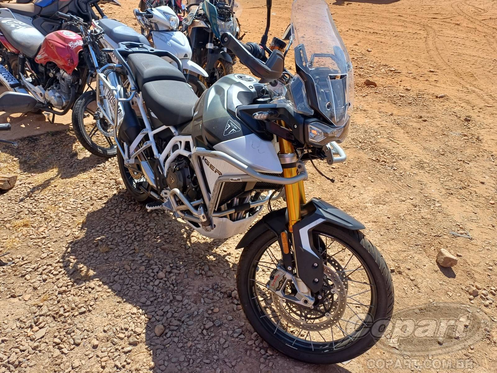 2025 TRIUMPH TIGER Tiger 900 Rally PRO