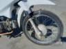 2023 HONDA POP 