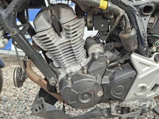 2024 HONDA CB 300F 
