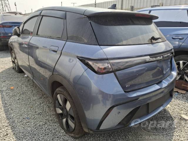 2025 BYD DOLPHIN 