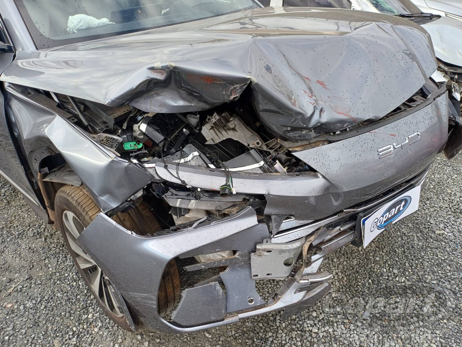 2026 BYD SONG PLUS — foto 11 de 12