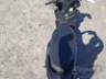 2024 YAMAHA NEO 