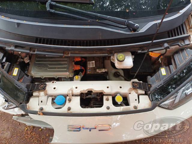 2025 BYD DOLPHIN MINI 