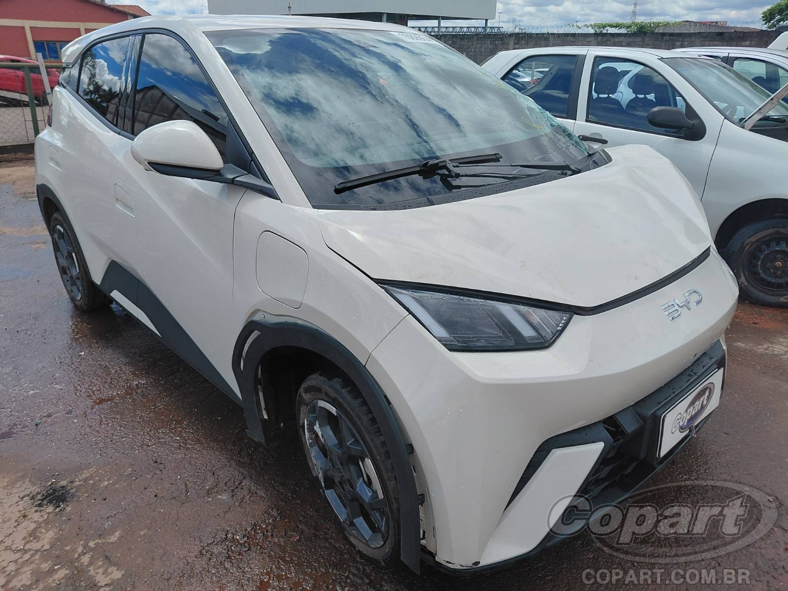 Veículo BYD DOLPHIN MINI BYD Dolphin Mini 2026 2026 em leilão