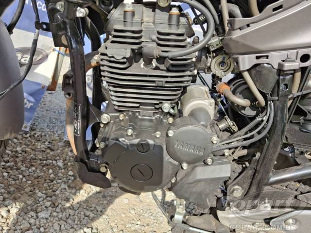 2025 YAMAHA FZ25 FAZER 