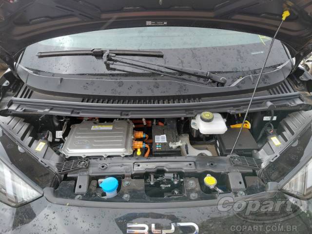 2025 BYD DOLPHIN MINI 