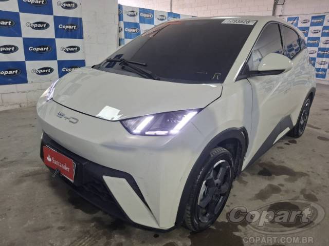 2024 BYD DOLPHIN MINI 