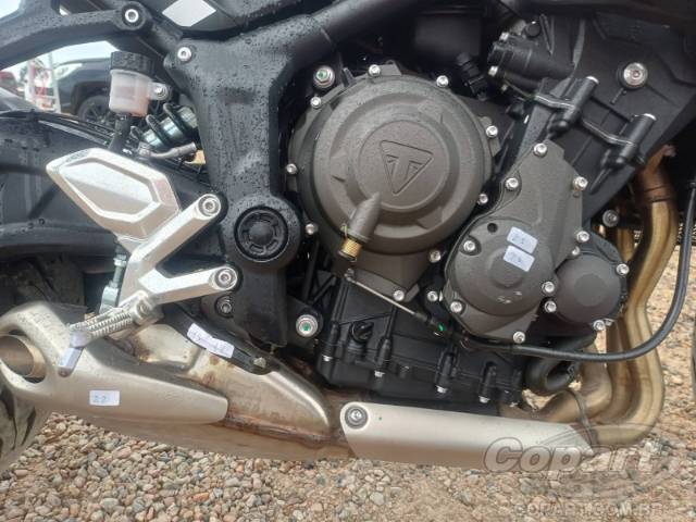 2026 TRIUMPH TRIDENT 
