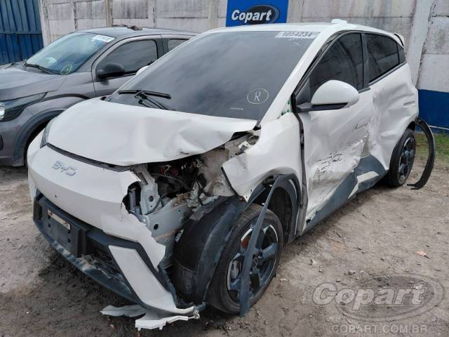 2025 BYD DOLPHIN MINI 