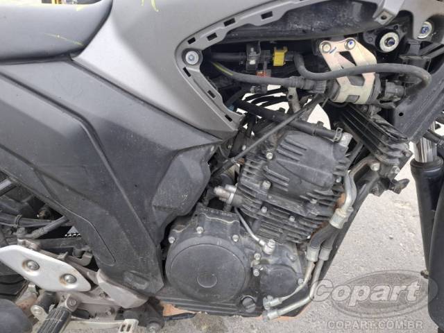 2024 YAMAHA FZ25 FAZER 