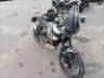 2024 DUCATI DESERTX 