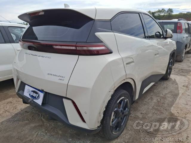2025 BYD DOLPHIN MINI 