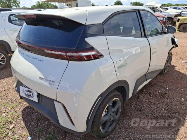 2025 BYD DOLPHIN MINI 