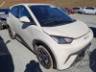 2025 BYD DOLPHIN MINI 