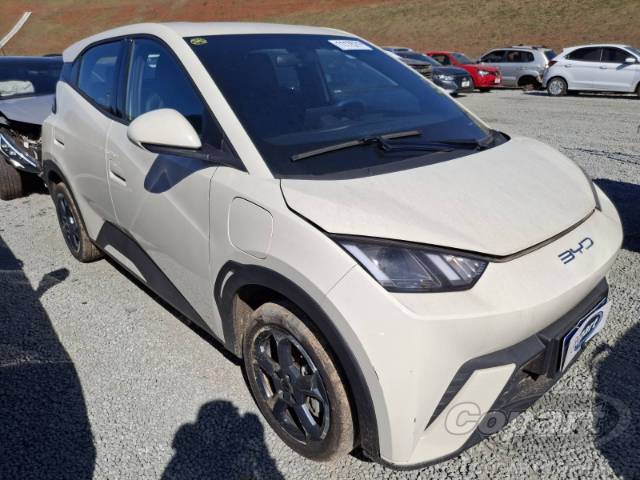 2025 BYD DOLPHIN MINI 