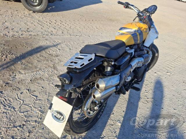 2024 TRIUMPH SCRAMBLER 