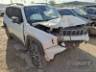 2022 JEEP RENEGADE 