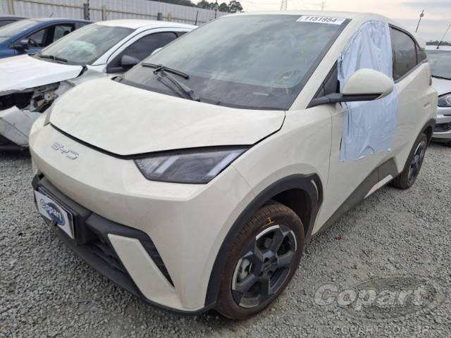 2024 BYD DOLPHIN MINI 