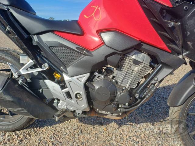 2023 HONDA CB 300F 