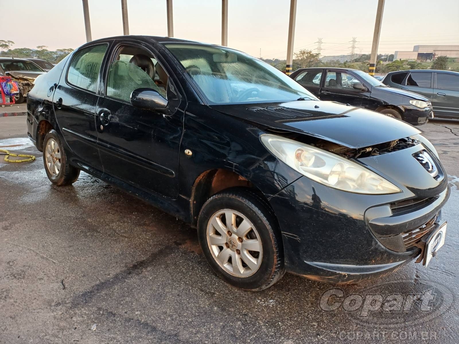 PEUGEOT 207 PASSION 2010