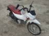 2024 HONDA POP 
