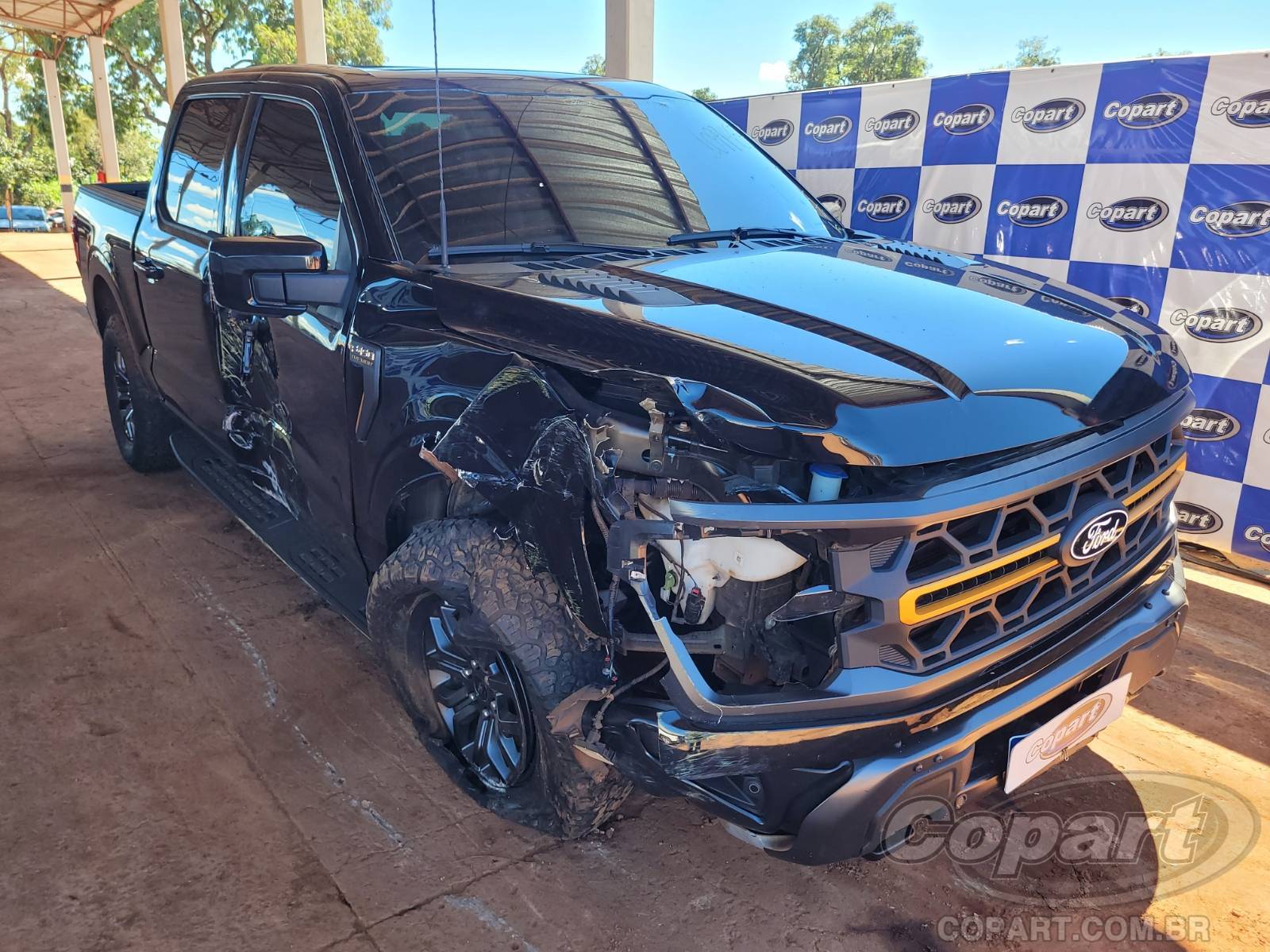2025 FORD F-150 Tremor FX4 5.0 V8 Coyote
