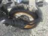 2026 BMW R 1300 