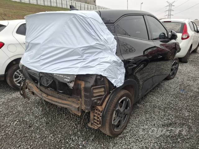2025 BYD DOLPHIN MINI 