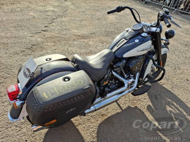2019 HARLEY-DAVIDSON SOFTAIL 