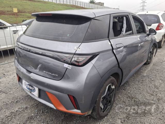 2024 BYD DOLPHIN 