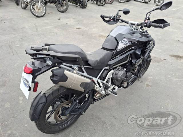 2024 TRIUMPH TIGER 