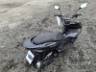 2024 HONDA PCX 