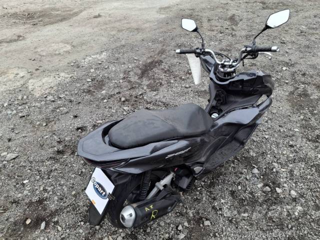 2024 HONDA PCX 