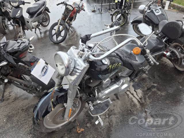 2010 HARLEY-DAVIDSON SOFTAIL 