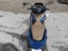 2024 HONDA PCX 