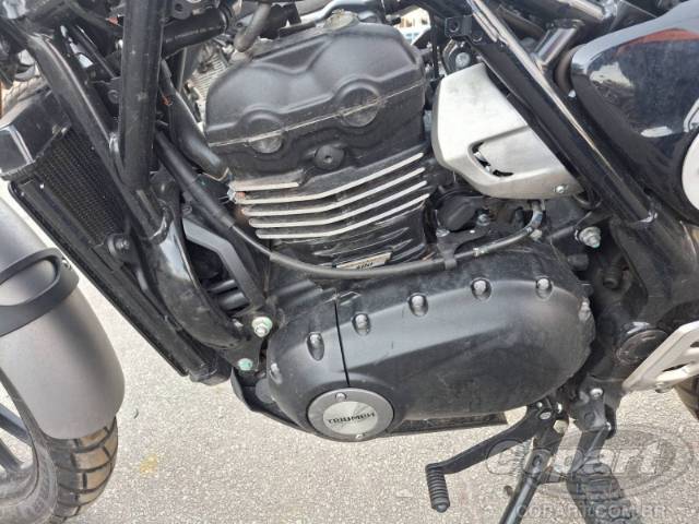 2025 TRIUMPH SCRAMBLER 