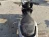 2024 HONDA ELITE 