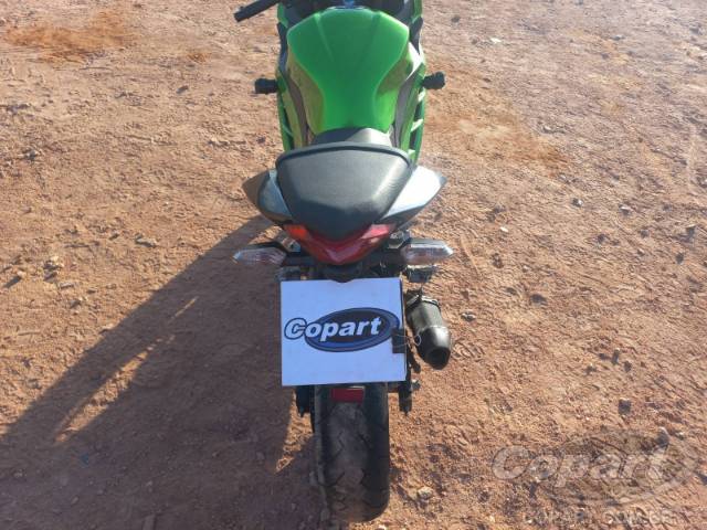 2024 KAWASAKI NINJA 300 