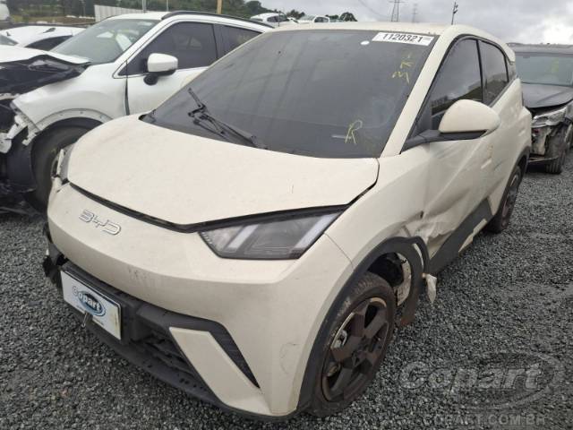 2024 BYD DOLPHIN MINI 