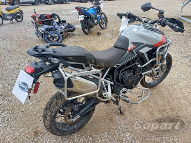 2024 TRIUMPH TIGER 