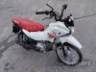 2026 HONDA POP 