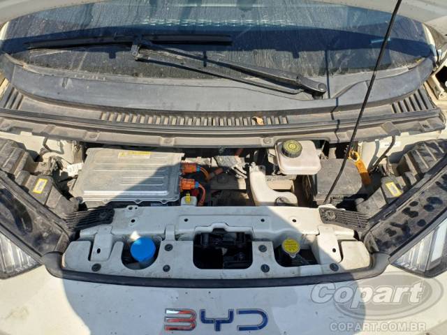 2025 BYD DOLPHIN MINI 